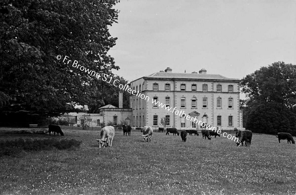 PRESENTATION CONVENT SOUTH FRONT WITH COWS